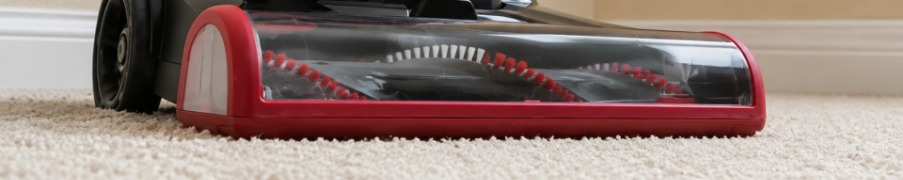Cleaning Carpet - Vacuum Cleaner - Brush - Pflüger KG