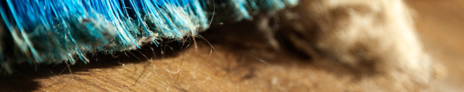Which Floor Is Easier to Maintain—Virgin Wool Carpet or Hard Flooring?—Pflüger KG