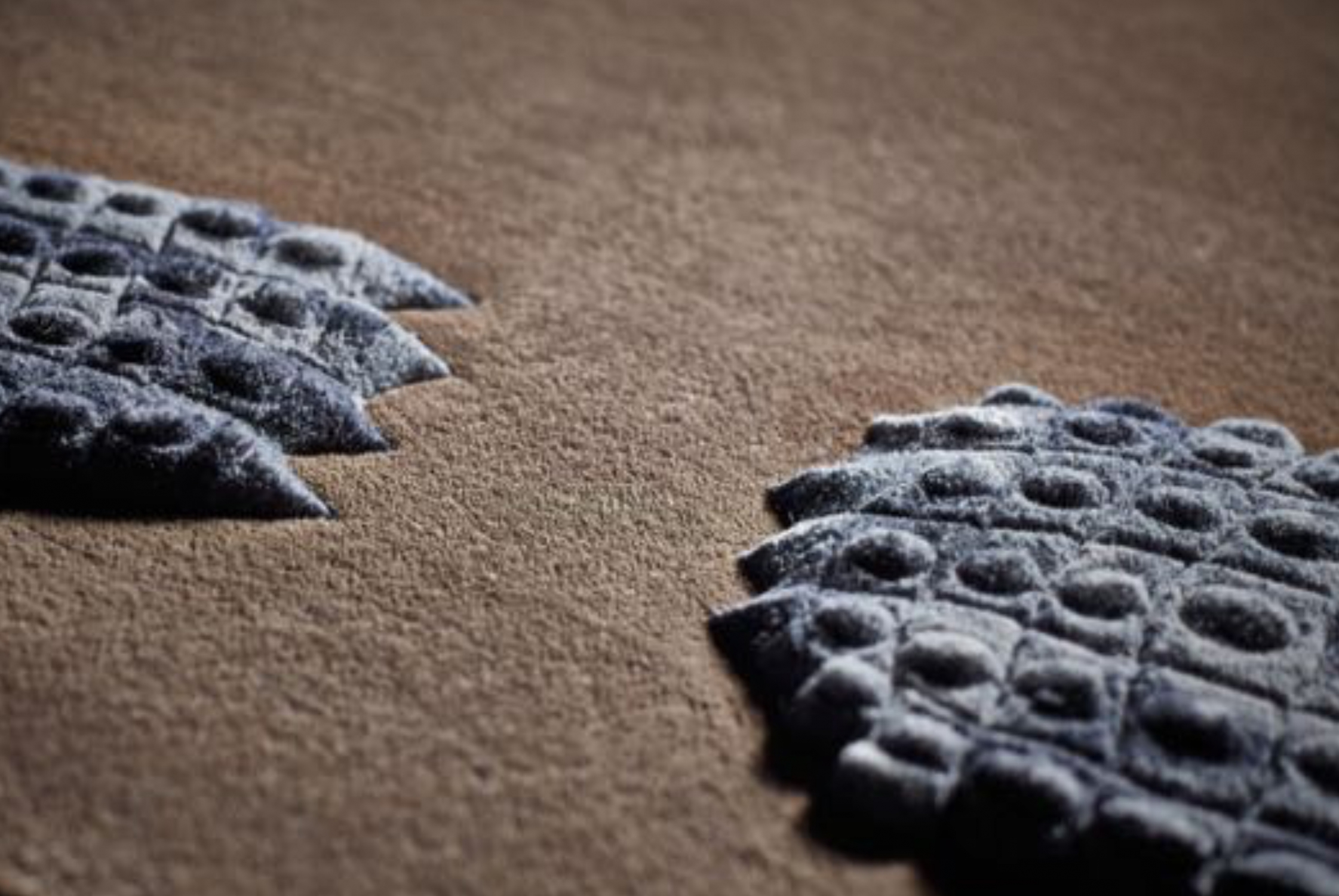 blog_pfluegerkg_pawtrait_danger-1