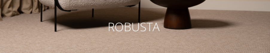 Robusta B.V. Genemuiden - Objektteppichboden - Pflüger KG